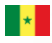 Senegal women\'s football team